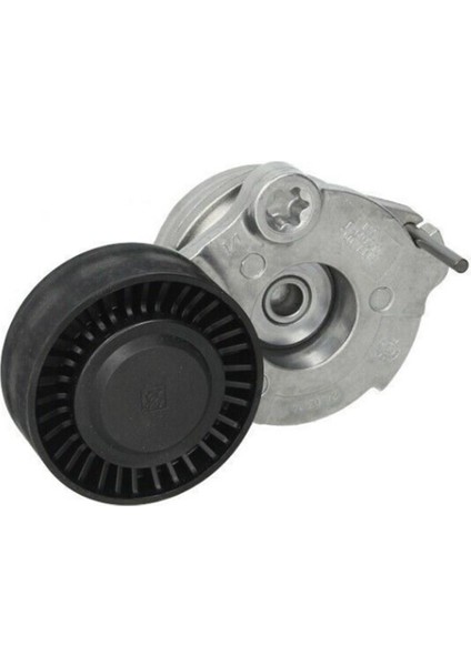 Audi A8 2010 - 2018 Model Arası 3.0 Dizel V Kayış Gergisi Ina Marka 059903133J