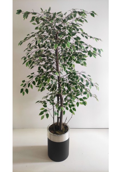 Rüzgar Yapay Çiçekçilik 180 cm Ficus Ağacı fiyatları