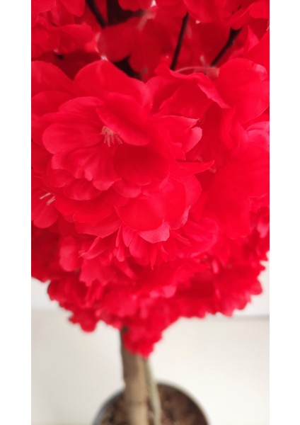 Rüzgar Yapay Çiçekçilik 180 cm Kırmızı Bahardalı Ağacı modelleri