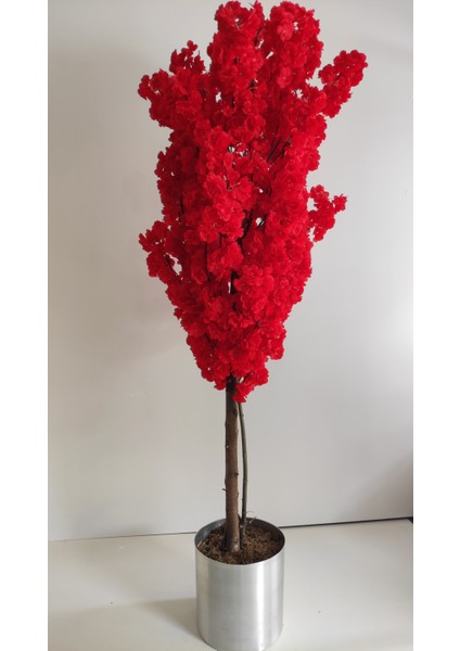 Rüzgar Yapay Çiçekçilik 180 cm Kırmızı Bahardalı Ağacı fırsatları