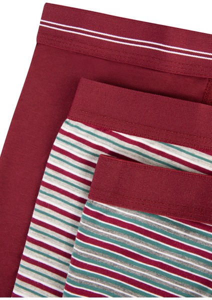 Çizgili Burgundy 3lü Mid Boxer fiyatları