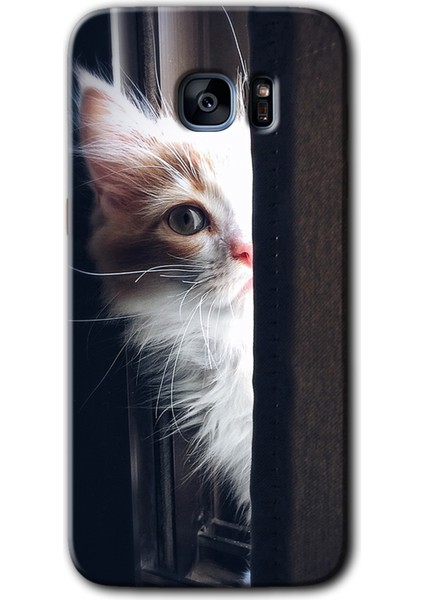 Galaxy S7 Edge Kılıf Hd Desen Baskılı Arka Kapak + Kırılmaz Cam - Kedi Bakışı