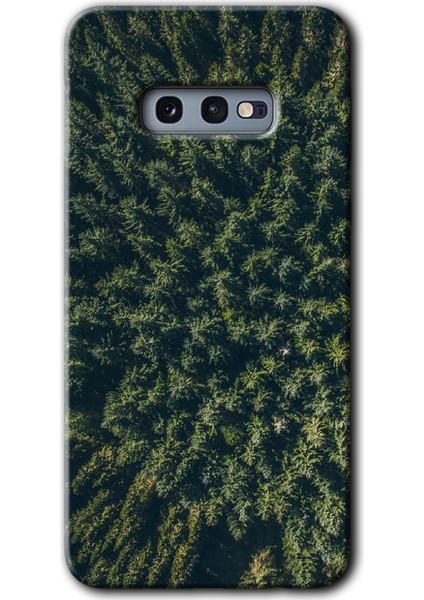 Galaxy S10E Kılıf Hd Desen Baskılı Arka Kapak + Kırılmaz Cam - Çam Ağacı Ormanı