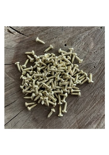 Sarı Renk Mini Sac Vidası Menteşe Vidası Tavla Klips Vidası 2,9*9,5mm 1pk