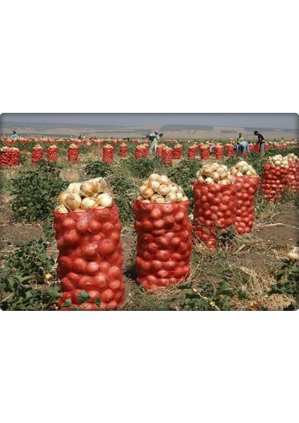 Soğan Çuvalı (35 Kiloluk) 25 Adet 52*82 fırsatları