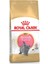 British Shorthair Kitten Yavru Kedi Maması 2 kg - Farmapets 3