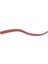 Lıp Pencıls Smart Fusion Lip Pencil 2