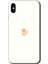 iPhone x Kılıf Hd Desen Baskılı Arka Kapak + Kırılmaz Cam - Cat Minimalism 1