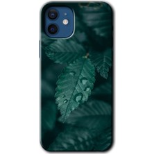 iPhone 12 Mini Kılıf Hd Desen Baskılı Arka Kapak + Kırılmaz Cam - Yağmurlu Yaprak