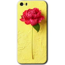 Gramaphone Apple iPhone 5s Kılıf Hd Desen Baskılı Arka Kapak + Kırılmaz Cam - Kırmızı Gül