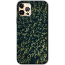 Gramaphone Apple iPhone 11 Pro Max Kılıf Hd Desen Baskılı Arka Kapak - Çam Ağacı Ormanı