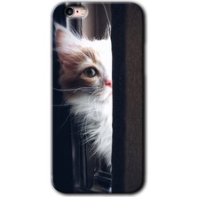 iPhone 6 Plus Kılıf Hd Desen Baskılı Arka Kapak + Kırılmaz Cam - Kedi Bakışı