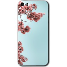 Gramaphone iPhone 5s Kılıf Hd Desen Baskılı Arka Kapak + Kırılmaz Cam - Japon Çiçeği