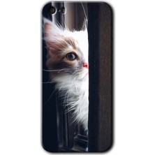 iPhone 5s Kılıf Hd Desen Baskılı Arka Kapak + Kırılmaz Cam - Kedi Bakışı