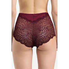 Magic Form 586 Kadın Yüksel Bel Arkası Dantelli Külot-Bordo
