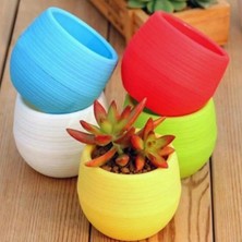 Neler Geldi Neler 5 Adet Saksı Kaktüs Saksısı Elvan Saksı Minik Küçük Karışık Renkli Saksı 0,13 Litre