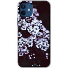 iPhone 12 Mini Kılıf Hd Desen Baskılı Arka Kapak + Esnek Nano Cam - Beyaz Çiçek