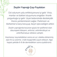 Prali’n 1944 Zeytin Yaprağı Bitki Çayı