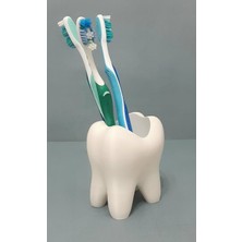 Stdeta Diş Tasarım Dekoratif Diş Fırçalık