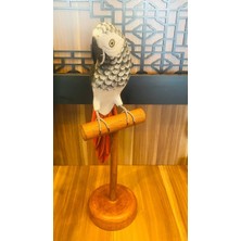 MYK Hediye ve Sanat Atölyesi El Yapımı Papağan Özel Tasarım Tamamen El yapımı Özel Ürün Kalpleri Fethedin: Romantik Hediyelerle Dolu Koleksiyon