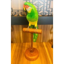 MYK Hediye ve Sanat Atölyesi El Yapımı Papağan Özel Tasarım Tamamen El yapımı Özel Ürün Kalpleri Fethedin: Romantik Hediyelerle Dolu Koleksiyon