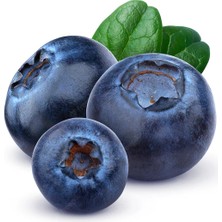 Kuzey Tropik Yerli Blueberry (Yaban Mersini) 125 gr