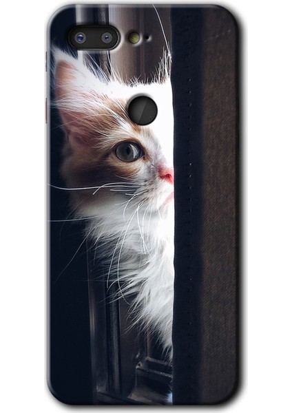General Mobile Gm 9 Pro Kılıf Hd Desen Baskılı Arka Kapak + Kırılmaz Cam - Kedi Bakışı