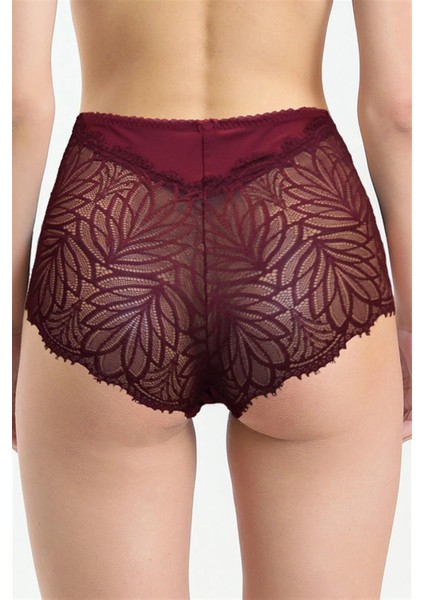 586 Kadın Yüksel Bel Arkası Dantelli Külot-Bordo