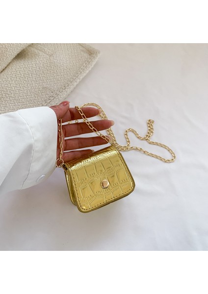 Kadın Zincir Çanta Messenger Ruj Çantası (Yurt Dışından) fiyatları