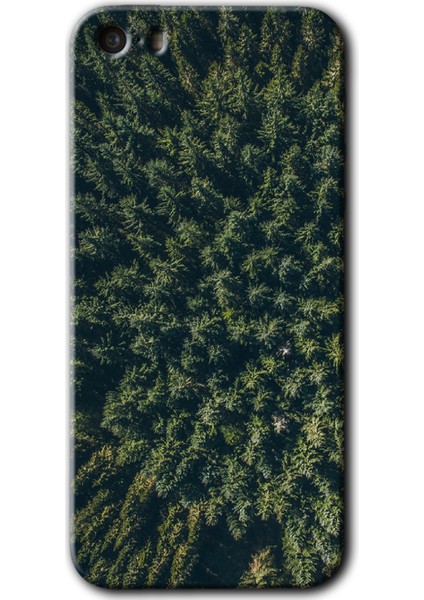 Apple iPhone 5s Kılıf Hd Desen Baskılı Arka Kapak + Kırılmaz Cam - Çam Ağacı Ormanı
