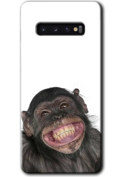 Galaxy S10 Kılıf Hd Desen Baskılı Arka Kapak + Kırılmaz Cam - Şıpsevdi Aşk