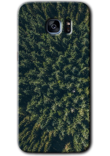 Galaxy S7 Edge Kılıf Hd Desen Baskılı Arka Kapak + Kırılmaz Cam - Çam Ağacı Ormanı