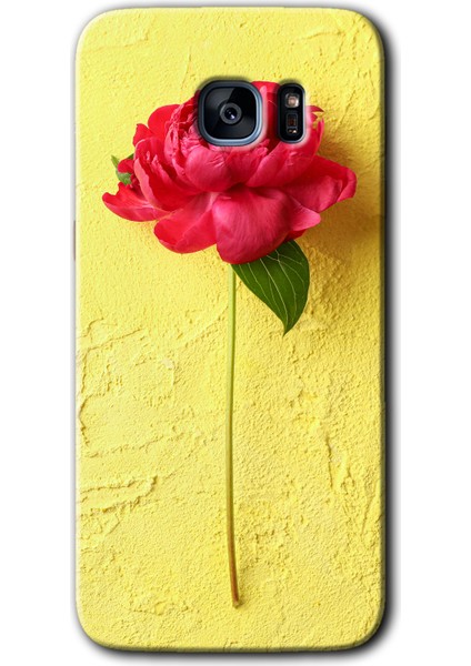 Galaxy S7 Edge Kılıf Hd Desen Baskılı Arka Kapak + Kırılmaz Cam - Kırmızı Gül