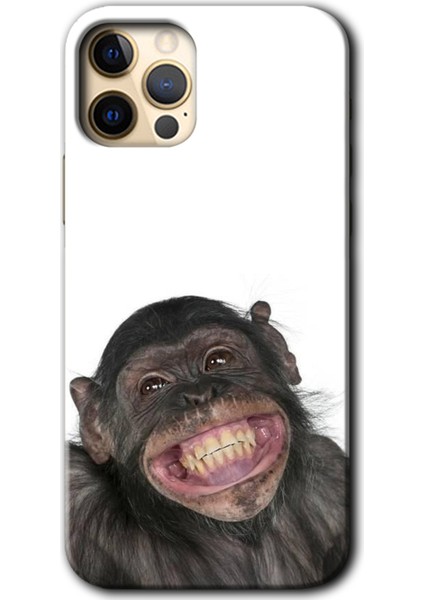 Apple iPhone 12 Pro Kılıf Hd Desen Baskılı Arka Kapak + Kırılmaz Cam - Şıpsevdi Aşk