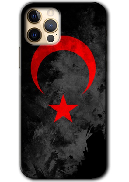 iPhone 11 Pro Kılıf Hd Desen Baskılı Arka Kapak + Kırılmaz Cam - Black Ayyıldız