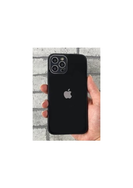 Apple 13 Pro Cam Kılıf
