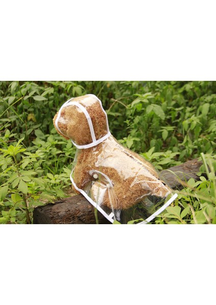 Evcil Köpek Yağmurluğu (Yurt Dışından) modelleri