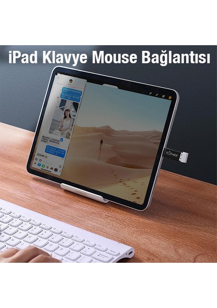 Dişi USB To Type-C Otg Çevirici Dönüştürücü Adaptör ALL-36282