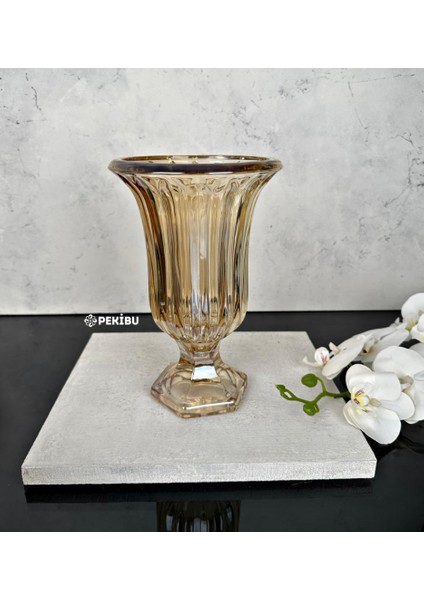 AYAKLI BOMBELİ CAM VAZO GOLD 23X15 CM fırsatları