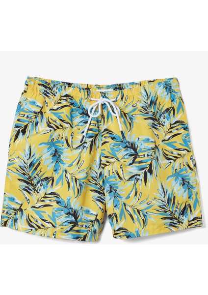 Nautıca Erkek Sarı Standart Fıt Şort Mayo