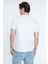 Regular Fit Erkek Tshirt K.kol 3