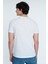 Regular Fit Erkek Tshirt K.kol 4
