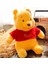 22CM Winnie The Pooh Peluş Oyuncağı 2