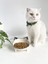 Seramik Sweet Cat Kedi Mama- Su Kabı (Siyah Desen) 1