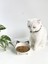 Seramik Sweet Cat Kedi Mama- Su Kabı (Siyah Desen) 2