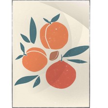 SHOP365 Şeftaliler Yaz Pastel Renkler Illüstrasyon Modern Poster P-000429