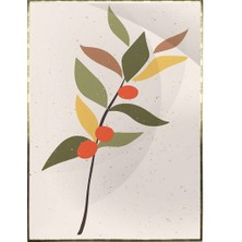 SHOP365 Çiçekler Meyveler Pastel Renkler Modern Poster P-001755