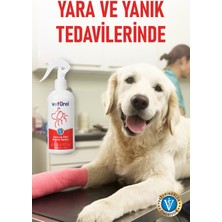 Yara ve Deri Bakım Spreyi 2x300ml Kedi Mantar Tahriş Köpek Bulaşı Sprey