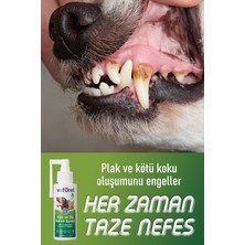 Veturel Ağız ve Diş Bakım Spreyi 3x100ml Köpek Ağız Kokusu Giderici Kedi Ağız Kokusu Plak Tartar