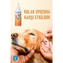 Kulak Bakım Spreyi 3x100ml Kedi Kulak Temizleme Köpek Kulak Uyuzu Kir Bulaş